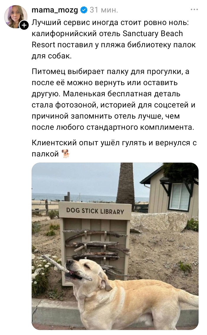Мой бы не успокоился, пока все не забрал