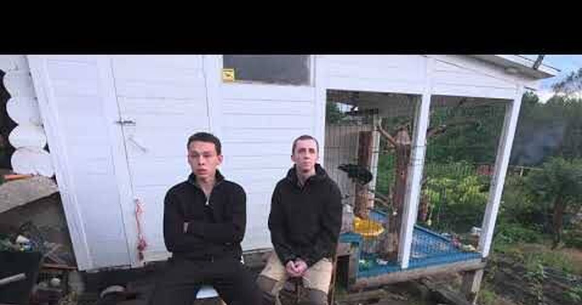 Brother named the reason why Alexander Chugainov left - George, Crow, Video, Youtube