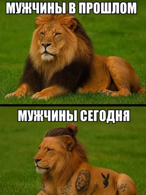 Современное веяние моды)))