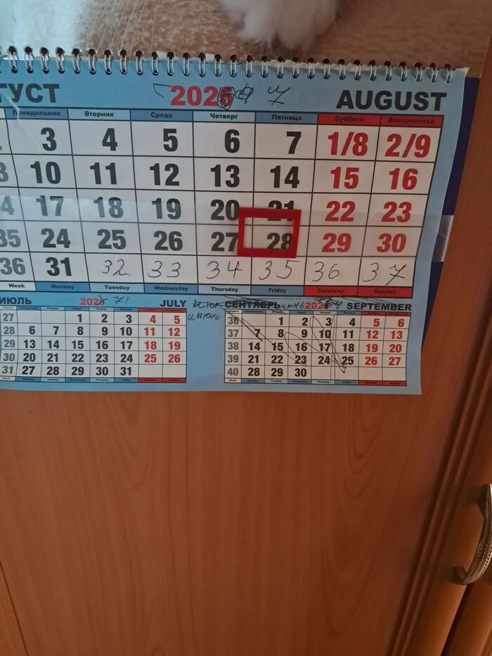Ответ на пост «Скоро в школу? :)»