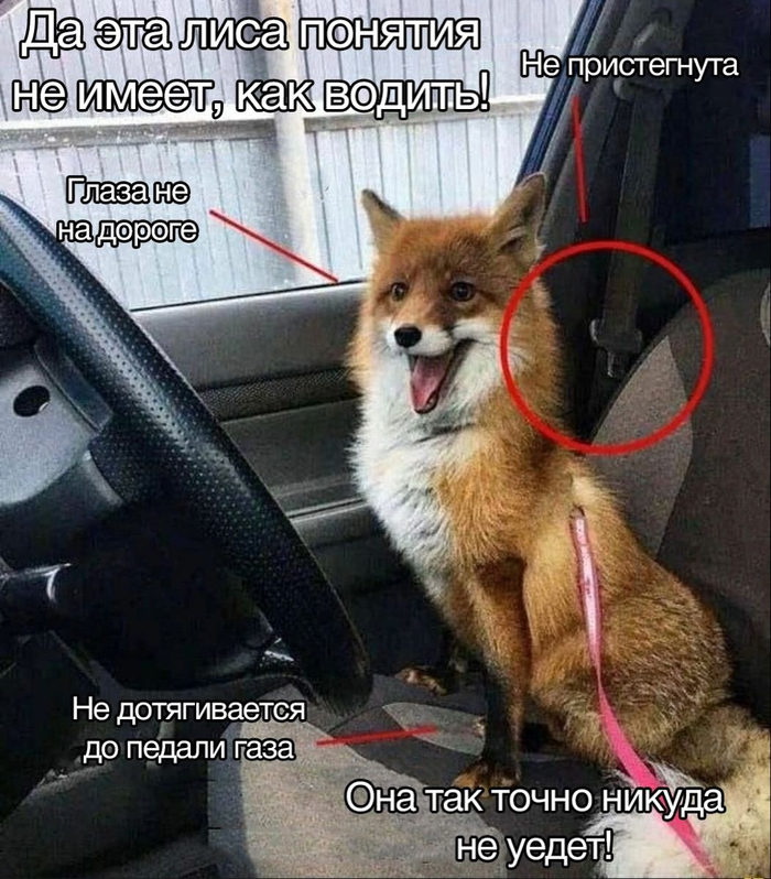 Неопытный водитель