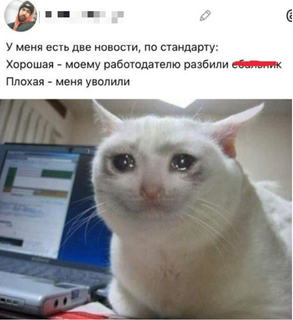 ���������� � IT: � ���� ������ ����� ������, ���� ���� ���������