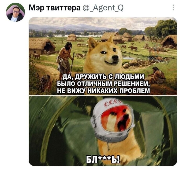 ����� ������
