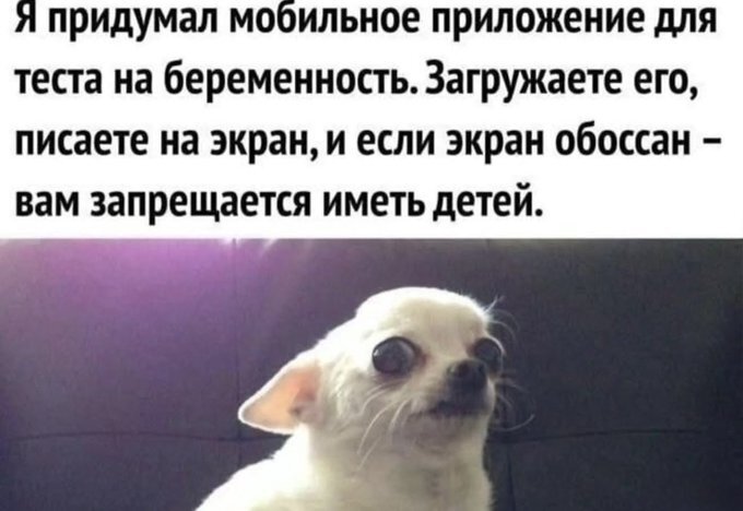 Тест