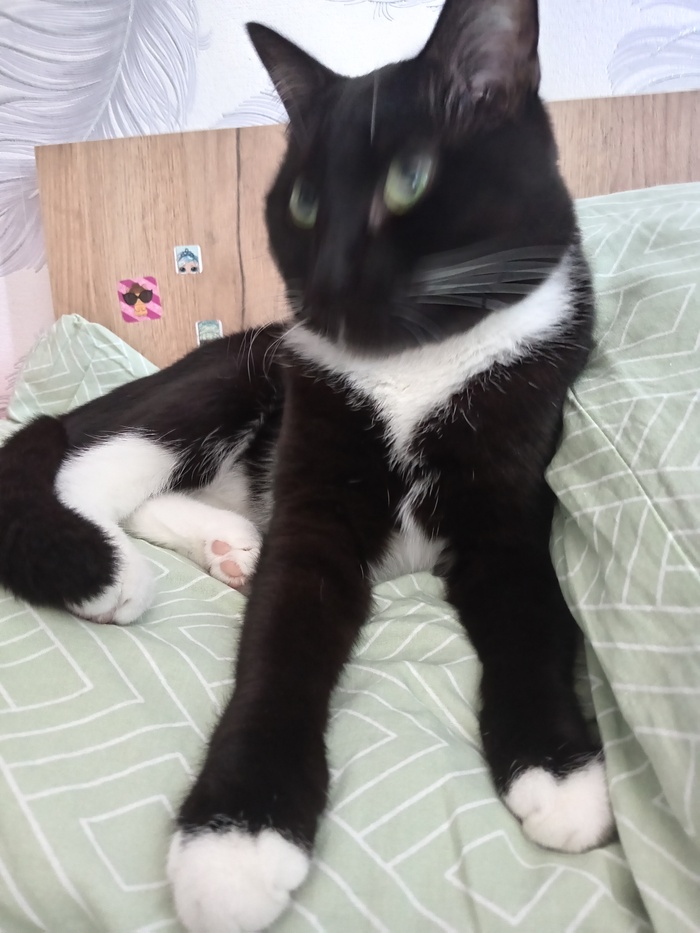 старший! :3