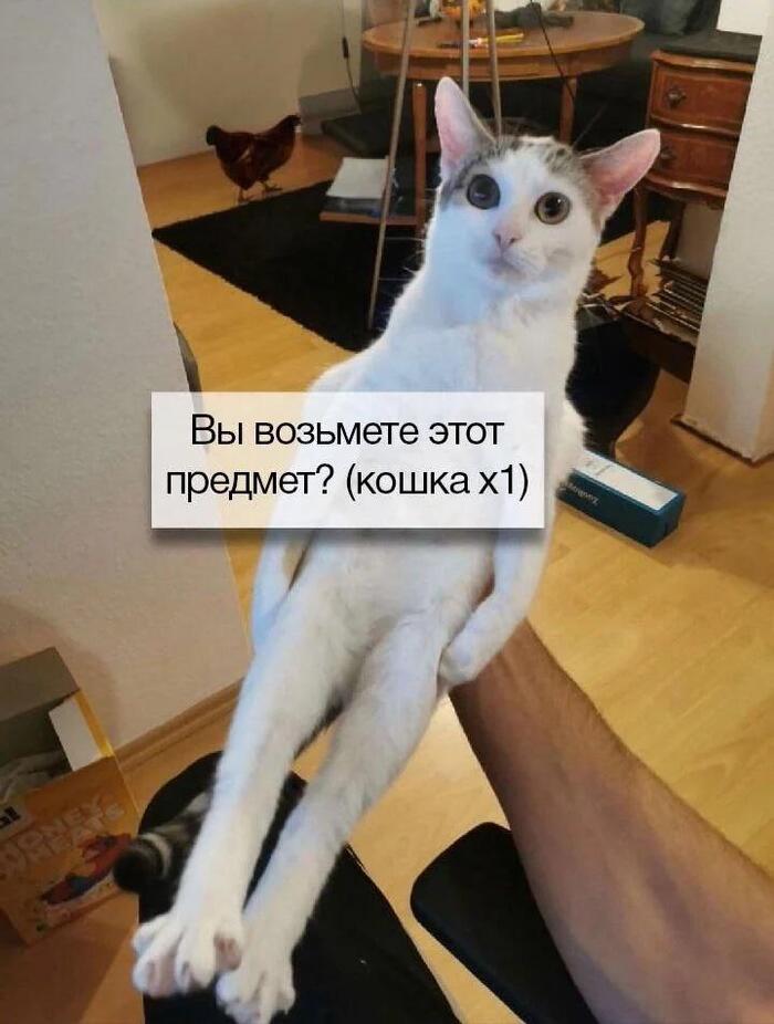 ����� ��� ��� ??
