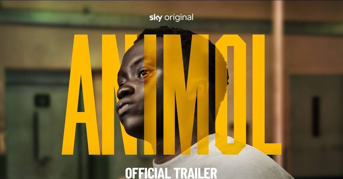 News about the film Animol - Series Trailers, Negative, Film and TV series news, Movies, Without translation, Great Britain, Trailer, Crime, Drama, Thriller, New items, New films, Description, Prison, Criminals, Crime, Prisoners, Survival, date, Video VK, Rutube, Video, Longpost