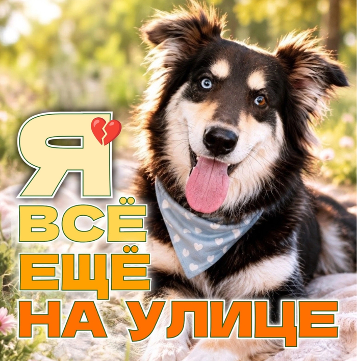 Х А С Я девочка возраст около 2 лет