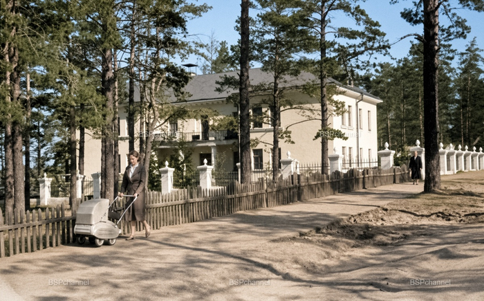 Автор: Алексей Шегера
