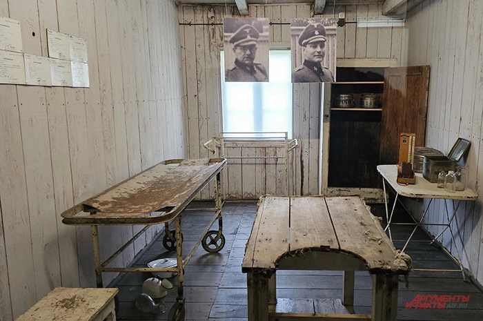Фото: <a href="https://pikabu.ru/story/raduemsya_krasnoy_armii_v_polshe_skazali_spasibo_russkim_chto_proizoshlo_14335334?u=https%3A%2F%2Faif.ru%2F&t=%D0%90%D0%B8%D0%A4&h=f5982b8f2d6f8c417b8f18af99b707f0561b0035" title="https://aif.ru/" target="_blank" rel="nofollow noopener">АиФ</a>/ Георгий Зотов