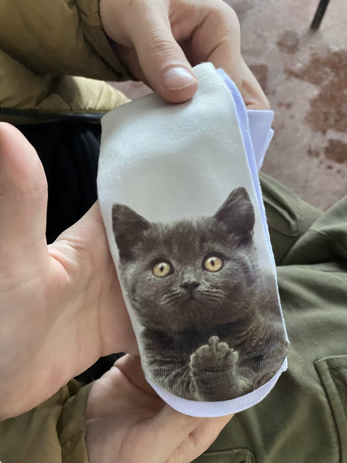 <a href="https://pikabu.ru/story/noski_kak_otdelnyiy_vid_iskusstva_14345405?u=https%3A%2F%2Fali.click%2Faauxl19%3Ferid%3D2SDnjdLjgdh&t=%D0%9A%D0%BE%D1%82%D0%B8%D0%BA%20%D1%81%D0%B5%D1%80%D1%8B%D0%B9&h=fae928ef0317fa3fcbcef8a492a755955dd4c1bd" title="https://ali.click/aauxl19?erid=2SDnjdLjgdh" target="_blank" rel="nofollow noopener">����� �����</a>