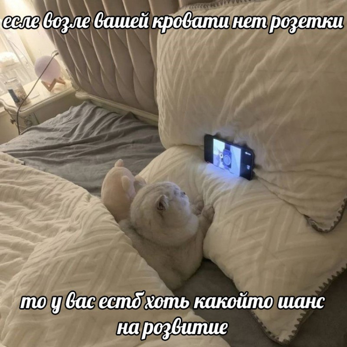 �������� ���� �������