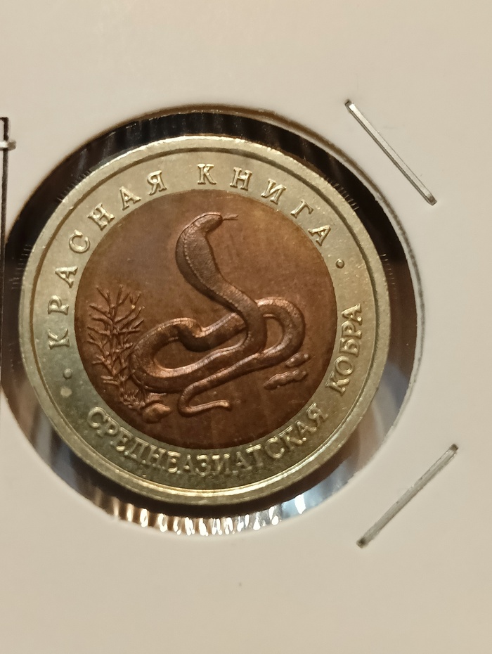 10 ������ 1992, ������� ����� - ��������������� �����