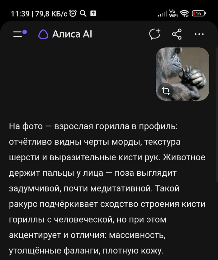 ��� ����� ����� AI.