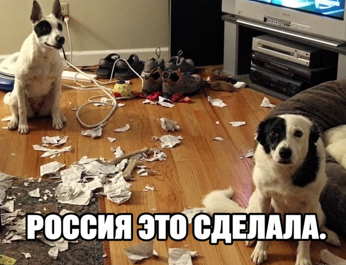 И так каждый раз...