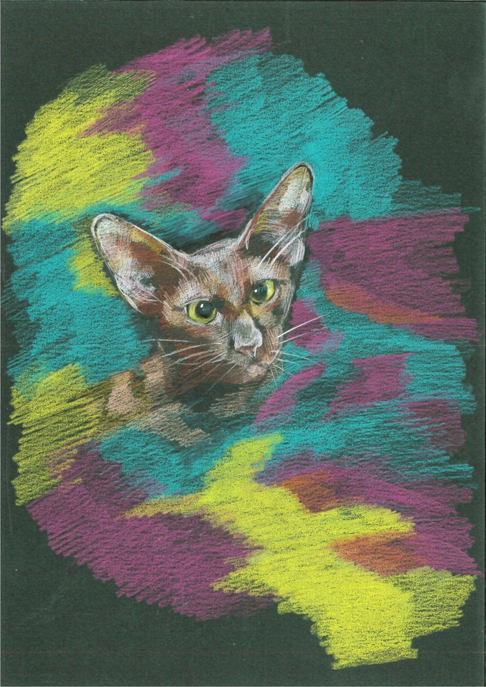 Черная бумага, цв. карандаши. 30x20см.