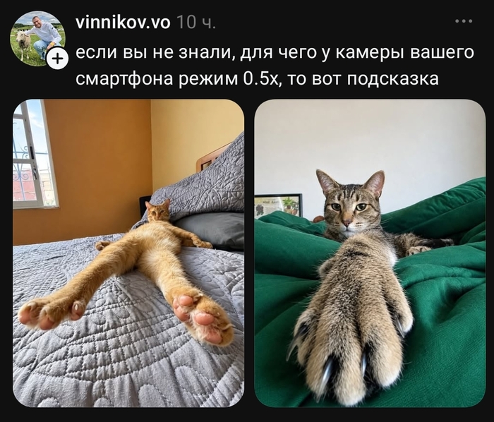 Мм, точно