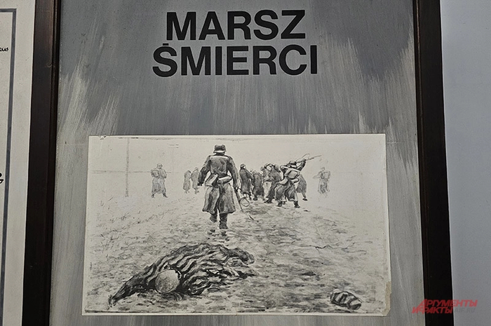 Фото: <a href="https://pikabu.ru/story/na_plyazhe_v_osventsime_kto_i_zachem_zanizhaet_chislo_zhertv_natsistskikh_lagerey_14369704?u=https%3A%2F%2Faif.ru%2F&t=%D0%90%D0%B8%D0%A4&h=f5982b8f2d6f8c417b8f18af99b707f0561b0035" title="https://aif.ru/" target="_blank" rel="nofollow noopener">АиФ</a>/ Георгий Зотов