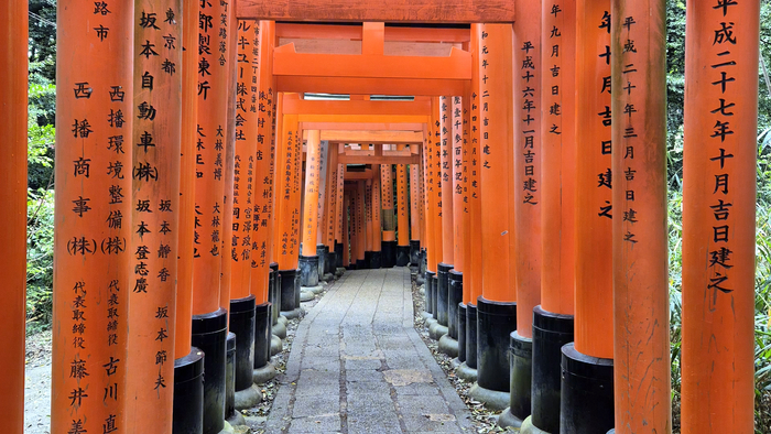 ������� ����� ����� �� Fushimi Inari