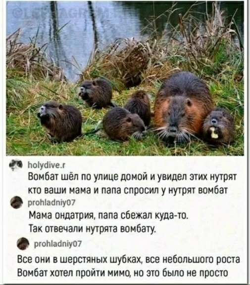 Мама ондатрия