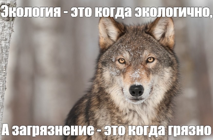 Номограмма: