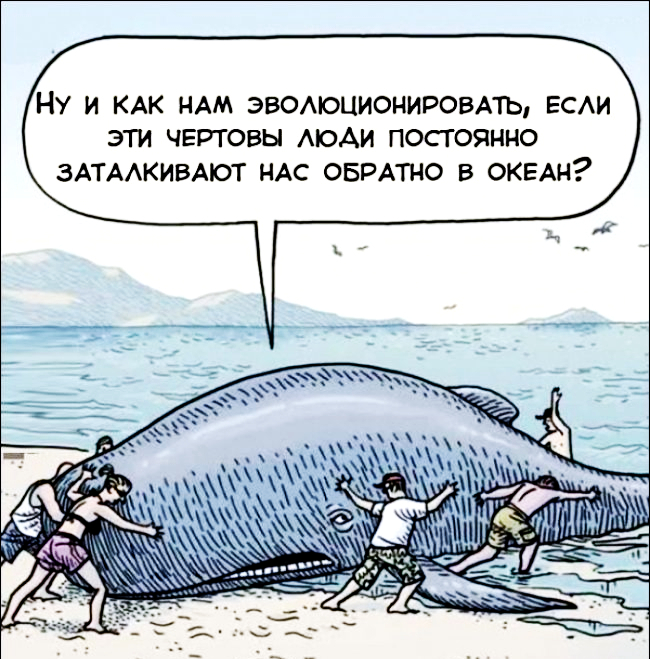 �� ������� ����������������