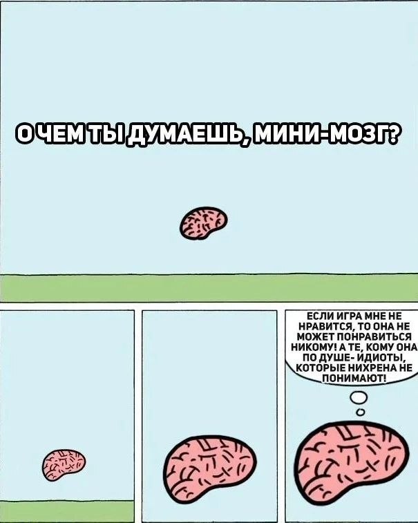 ����-���� �������