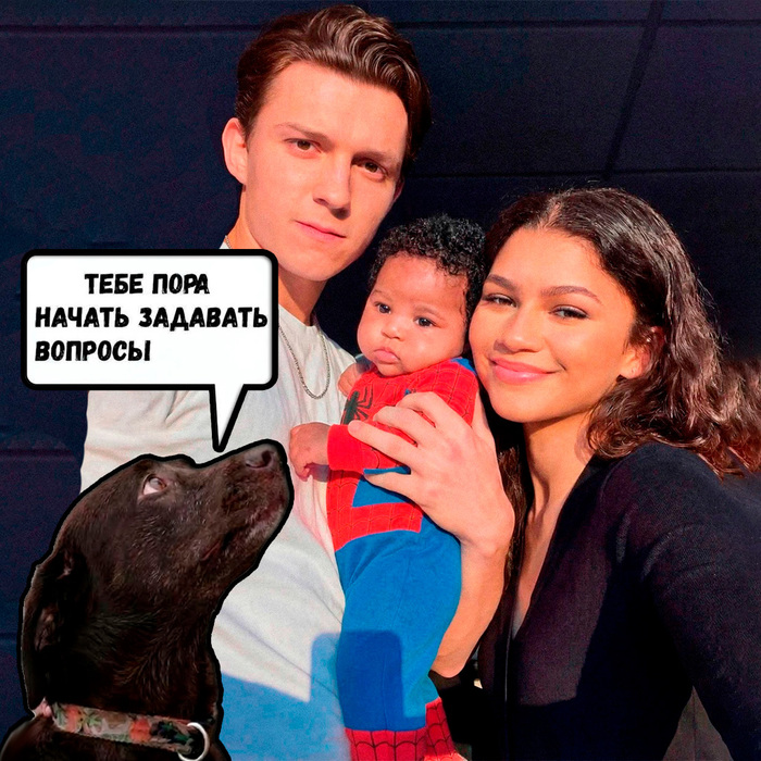 ������ �����