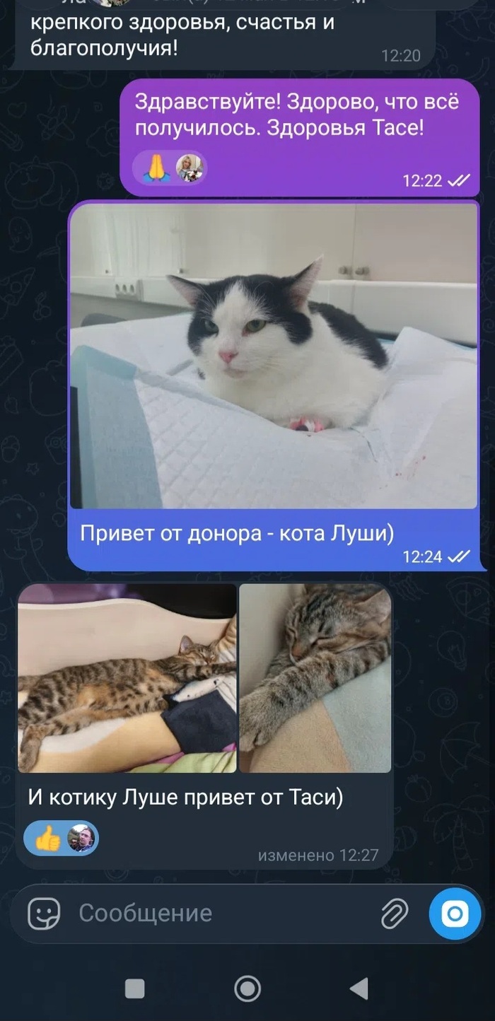 ������ ��, ��� ������ ���������