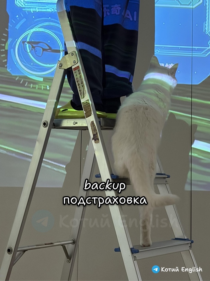 ������������