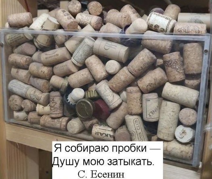 Ответ на пост «Маленькая мечта сбылась...»