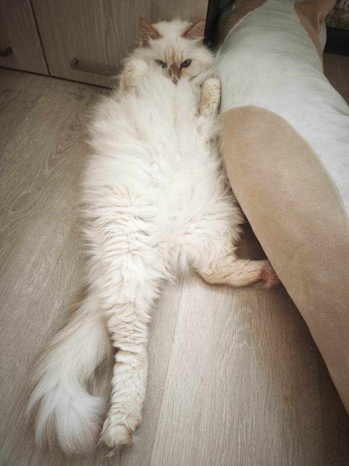 Я хозяин жизни. А чего добился ты?