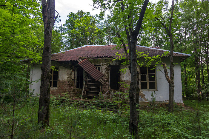 Почти все корпуса в нём — старые, одноэтажные.