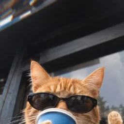 NastyBosssy
