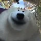 ������ ������������ KAKTAMMAMOHT