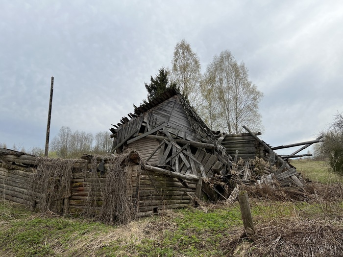 <a href="https://pikabu.ru/story/otvet_anonim_v_ne_ponimayu_14434609?u=https%3A%2F%2Fpikabu.ru%2Fstory%2Fderevni_tverskoy_oblasti_kakimi_ikh_uzhe_malo_kto_pomnit_10279831%3Futm_source%3Dlinkshare%26utm_medium%3Dsharing&t=%D0%94%D0%B5%D1%80%D0%B5%D0%B2%D0%BD%D0%B8%20%D0%A2%D0%B2%D0%B5%D1%80%D1%81%D0%BA%D0%BE%D0%B9%20%D0%BE%D0%B1%D0%BB%D0%B0%D1%81%D1%82%D0%B8%2C%20%D0%BA%D0%B0%D0%BA%D0%B8%D0%BC%D0%B8%20%D0%B8%D1%85%20%D1%83%D0%B6%D0%B5%20%D0%BC%D0%B0%D0%BB%D0%BE%20%D0%BA%D1%82%D0%BE%20%D0%BF%D0%BE%D0%BC%D0%BD%D0%B8%D1%82&h=2a8ba87982a70514ea12574f242066e5534996fa" title="https://pikabu.ru/story/derevni_tverskoy_oblasti_kakimi_ikh_uzhe_malo_kto_pomnit_10279831?utm_source..." target="_blank">������� �������� �������, ������ �� ��� ���� ��� ������</a>
