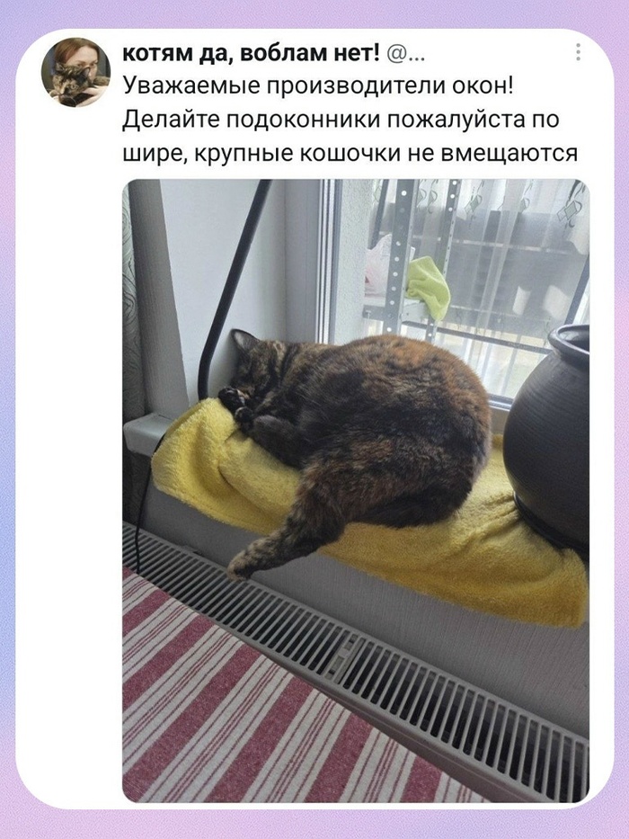 Уважайте котеек блэт