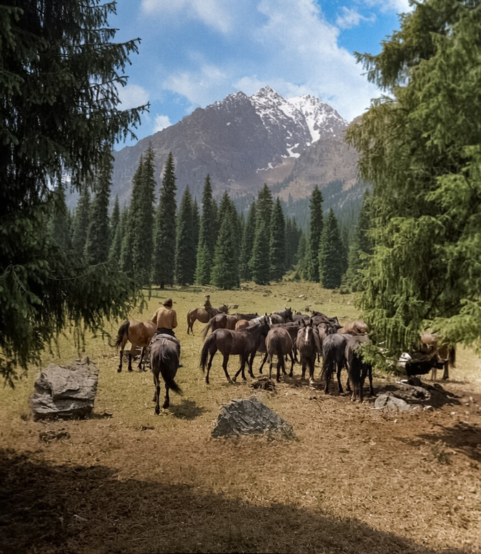 Фотограф: Иосиф Будневич