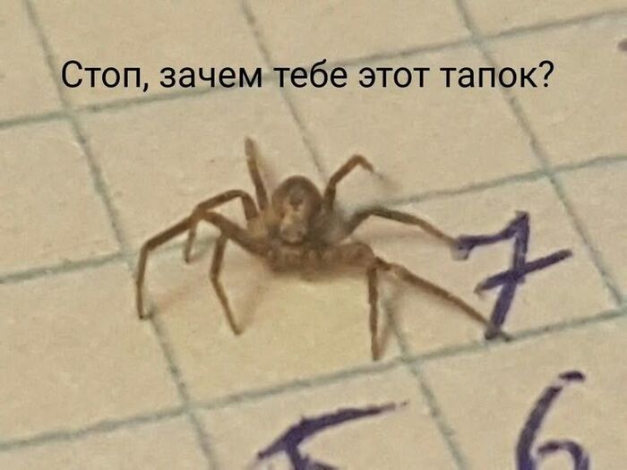 � �������� ������� ���