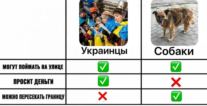 Ответ на пост «Украинцев собирают на улицах, как бездомных собак, заявил Путин»
