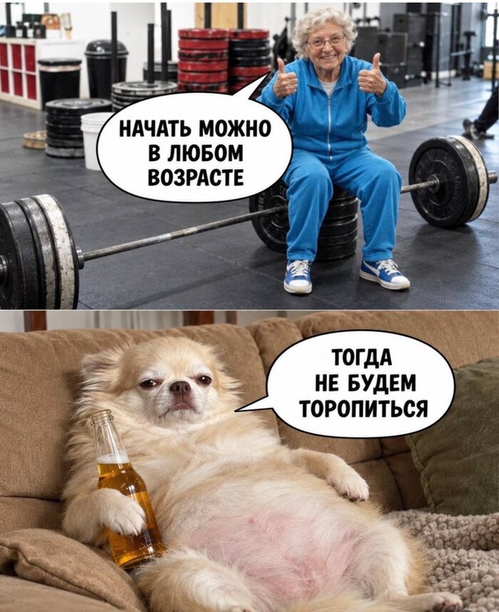 Не будем