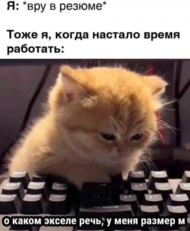 С просторов