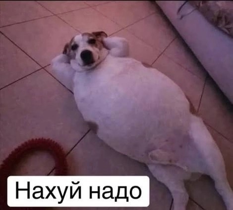 Работа с перспективами выгорания?