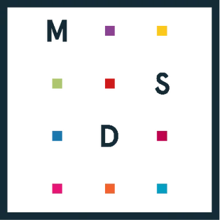 Логотип школы Moscow Digital School