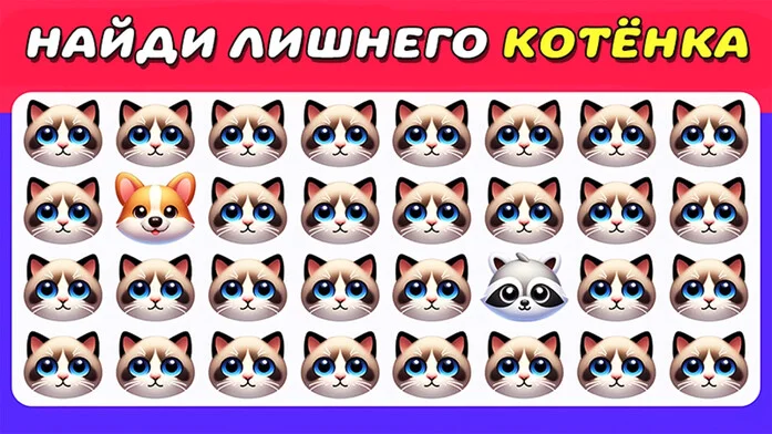 Найди Лишнего Котёнка