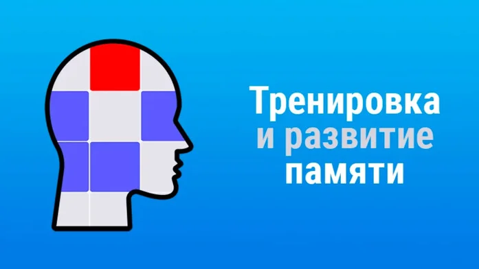 Тренировка и развитие памяти