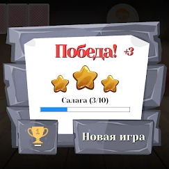 Дурак классический и переводной. Карьера и достижения