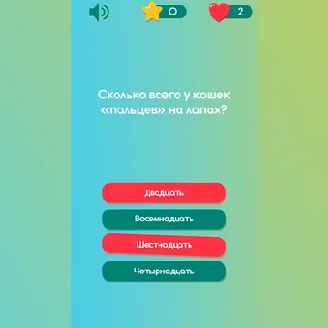 Все ли ты знаешь про котиков? Отвечай на вопросы, бери подсказки, соревнуйся с друзьями!