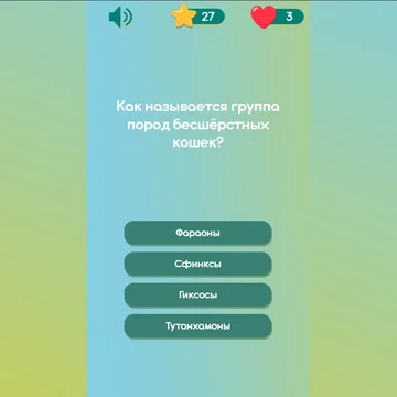 Все ли ты знаешь про котиков? Отвечай на вопросы, бери подсказки, соревнуйся с друзьями!