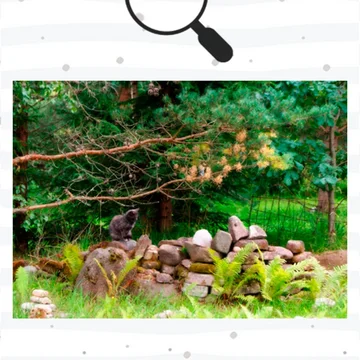 Милая игра с поиском котиков, которые сливаются с окружением